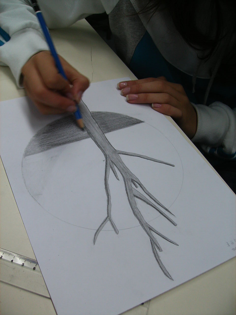 1-Trabalhos LápisGrafite (6).JPG